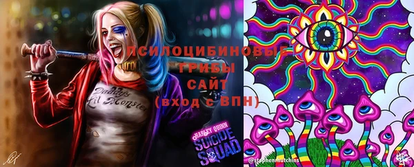 молекула духа Верея