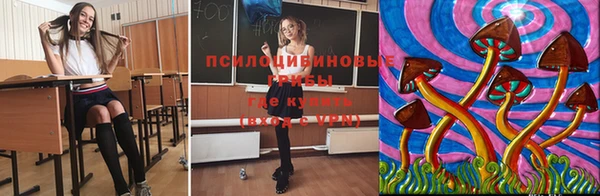 молекула духа Верея