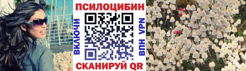Псилоцибиновые грибы Cubensis Тихвин